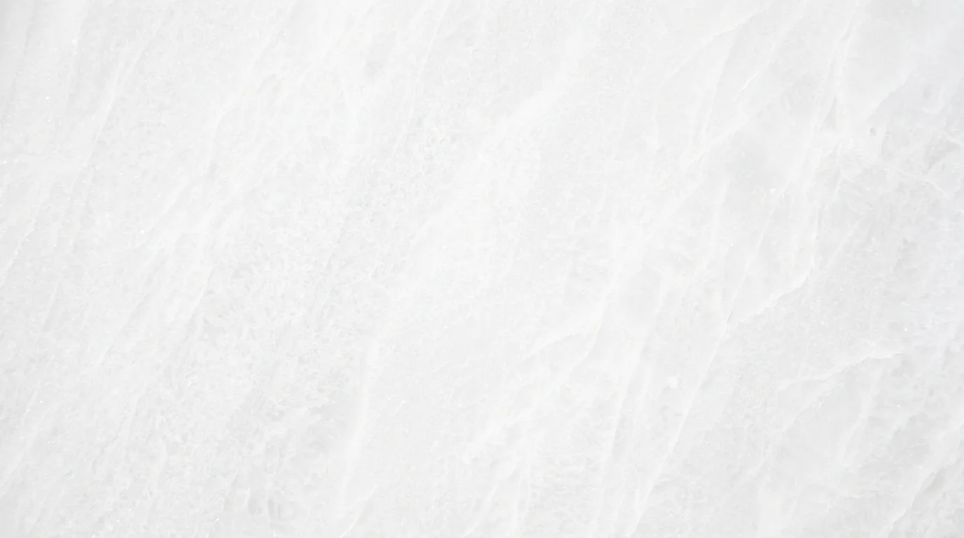 Vietnam White Marble texture